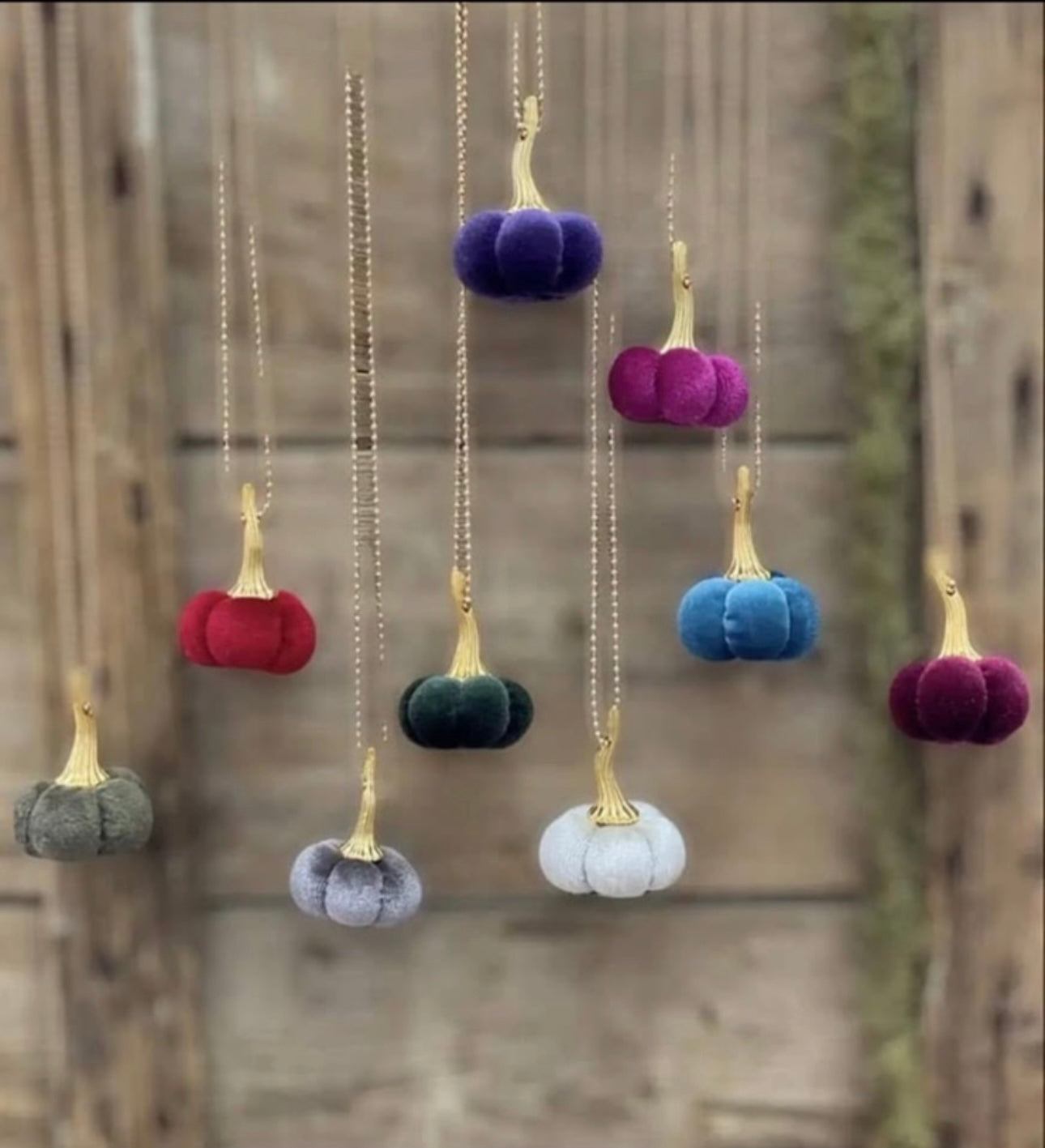 Βελούδινες κολοκύθες κολιέ